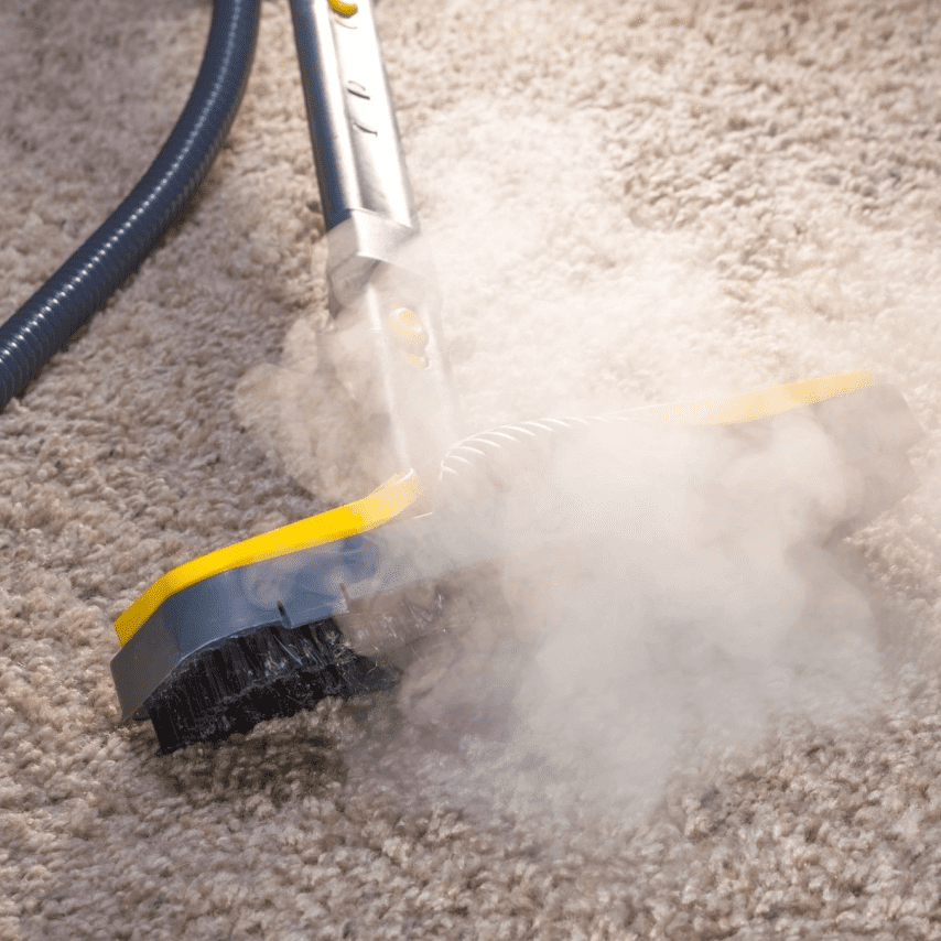 A steam cleaner is being used to clean the carpet.